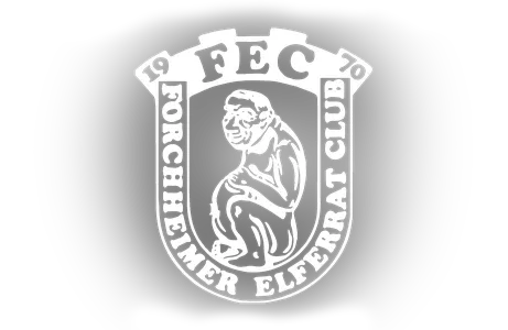 fec logo